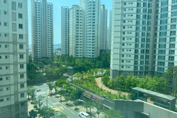 편안한 넓은 43평 