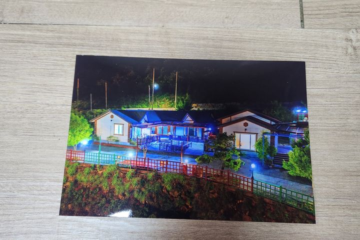 산수유 8번째 이미지