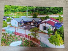 산수유 11번째 이미지