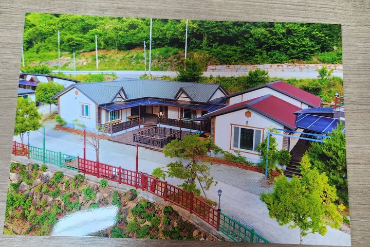 산수유 11번째 이미지