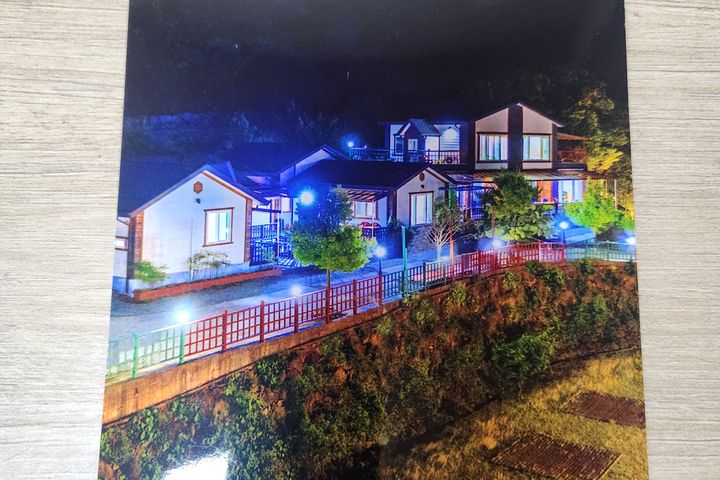 산수유 13번째 이미지