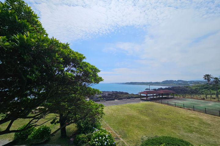 Mini Ocean View Room 204 4th image