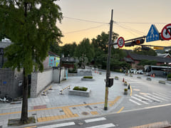3 seconds from the main gate ginkgo tree view 11th image