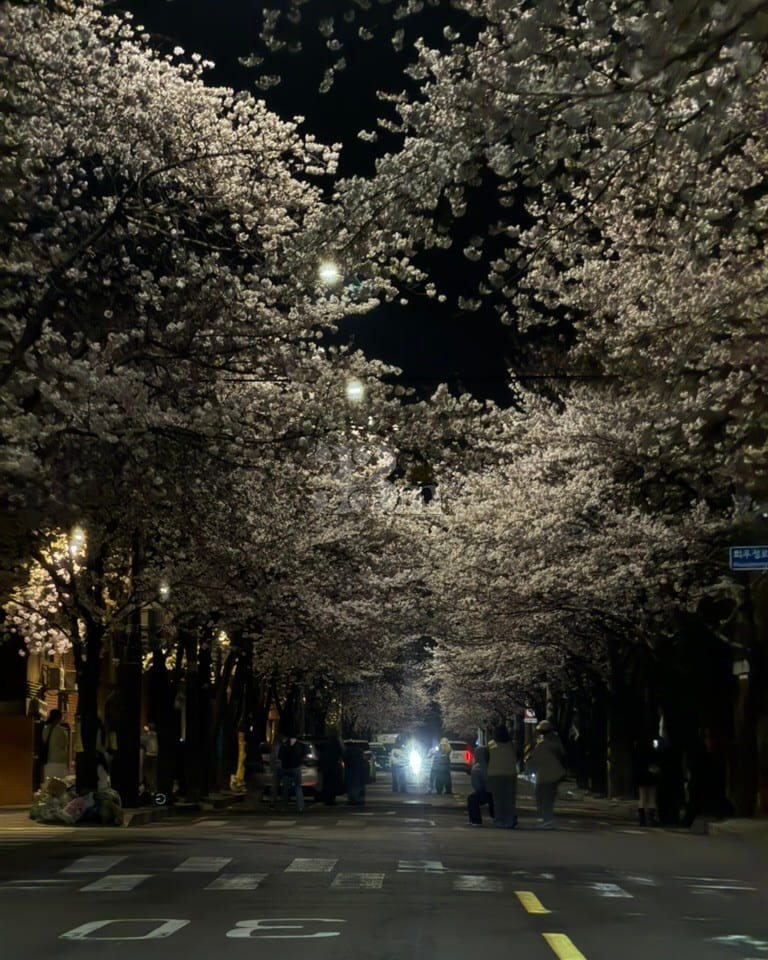 1 second from Hapjeong Station / Hongdae / Sa 8th image