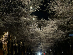 1 second from Hapjeong Station / Hongdae / Sa 8th image