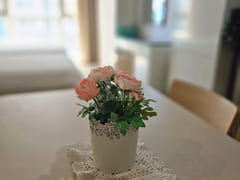 벡스코센텀호텔#건조기 0번째 이미지