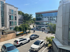 Palace Leaf 10번째 이미지