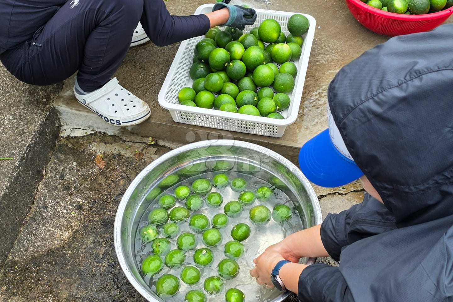 🍅 제주살이/1인1실 3번째 이미지