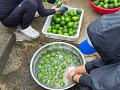 🍅 제주살이/1인1실 3번째 이미지
