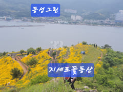 거제 산과바다캐빈하우스 11번째 이미지