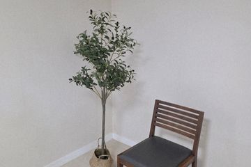 A room near the university campus