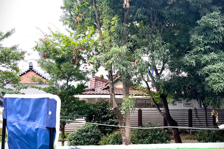 Forest View/Private House/Old House Charm 3th image