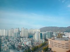 창원 도심1초 심플🍎 9번째 이미지