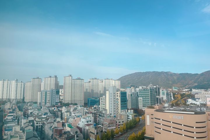 창원 도심1초 심플🍎 9번째 이미지