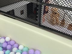 서울서초 단독 키즈 10번째 이미지