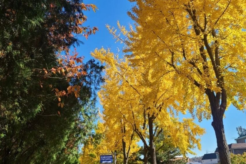 김포공항3분&마곡10분