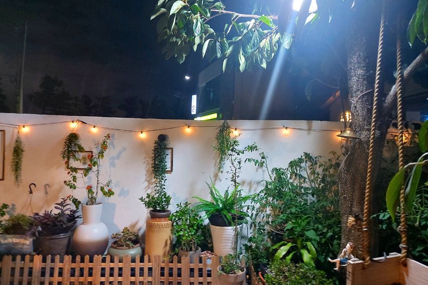 포항 홍시네 앞마당