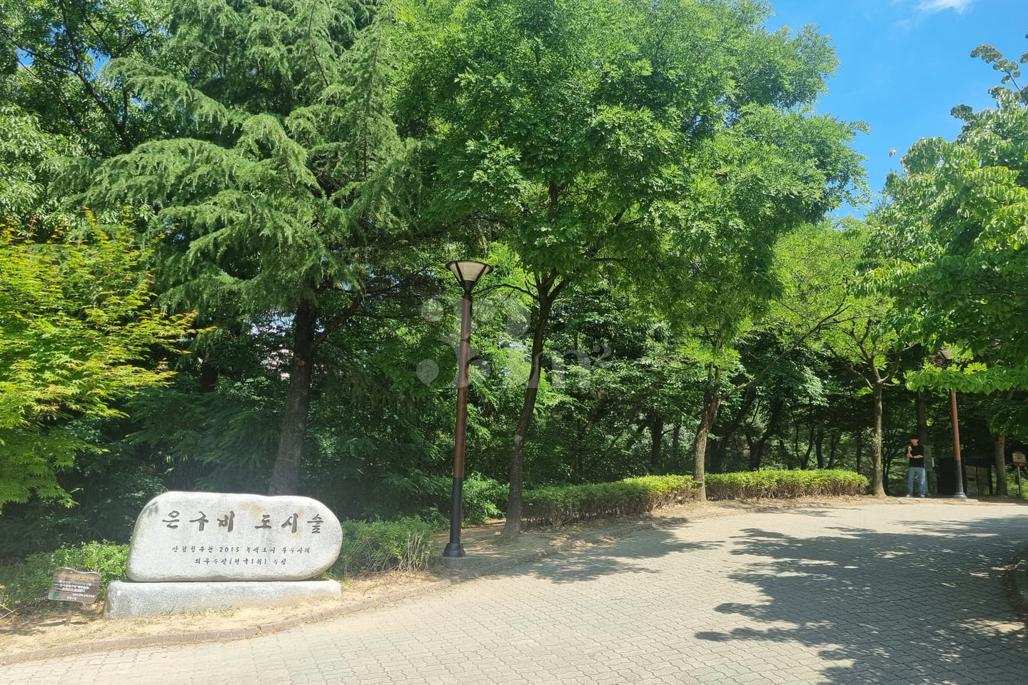 #SunHospital Internship – 1-Minute Walk! 18th image