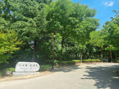 #SunHospital Internship – 1-Minute Walk! 18th image