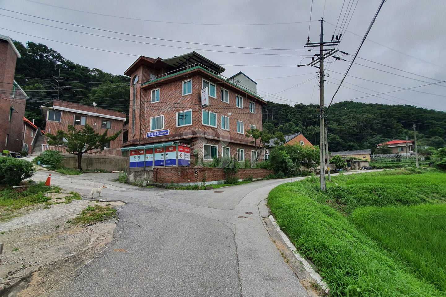 Wonju Brick & Green 203 0th image