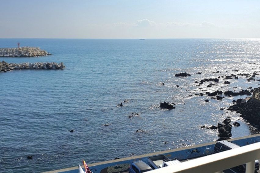 ❤법환바다바로앞❤️