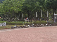 1 National Garden Queen 2 Single 1 18th image