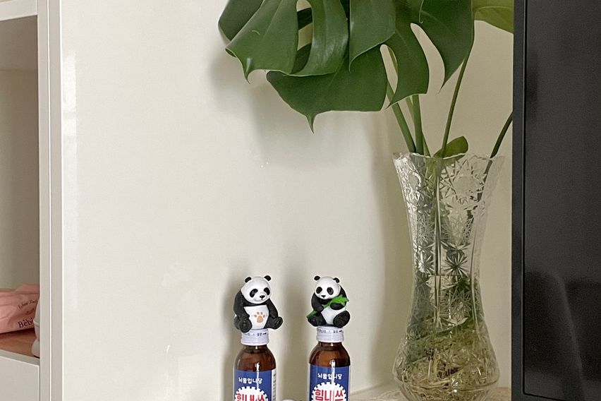 E7양양가자2호오션뷰☀️