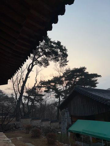 모니카방이에요1