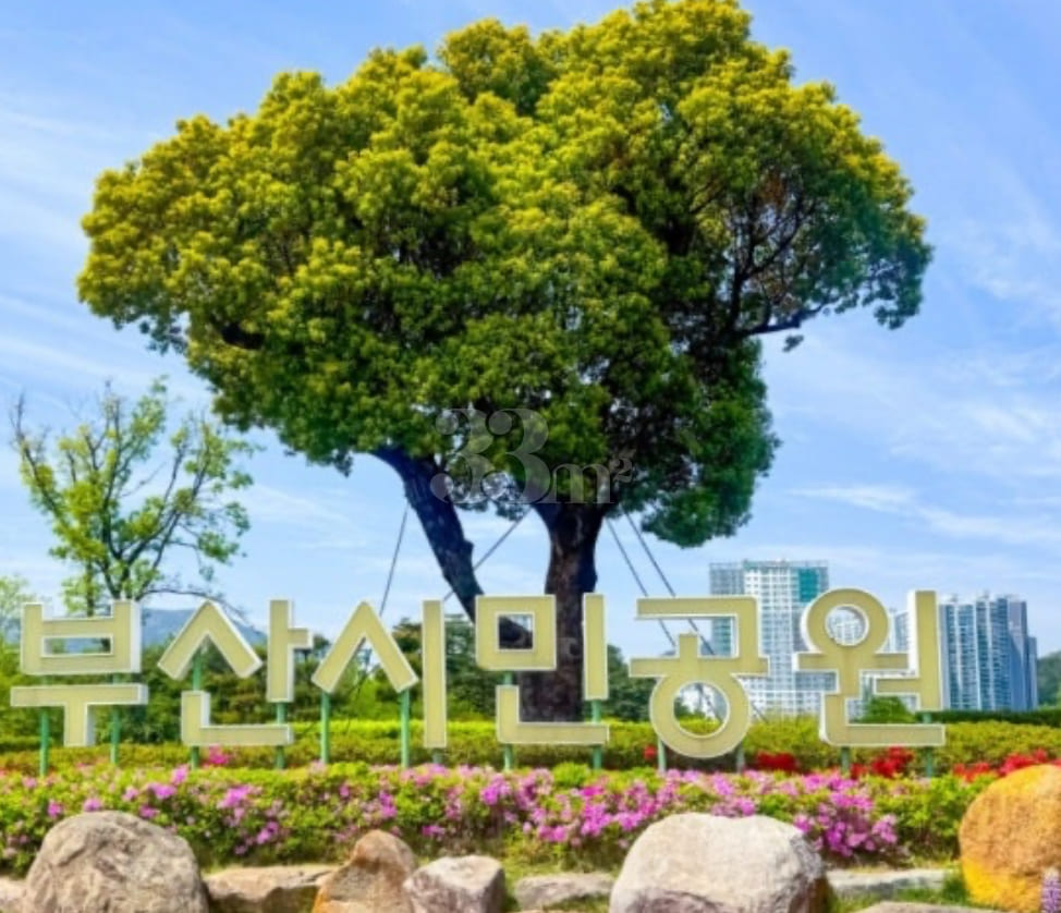 Seomyeon-Bujeon, Fully Furnished, Parking Ava 12th image