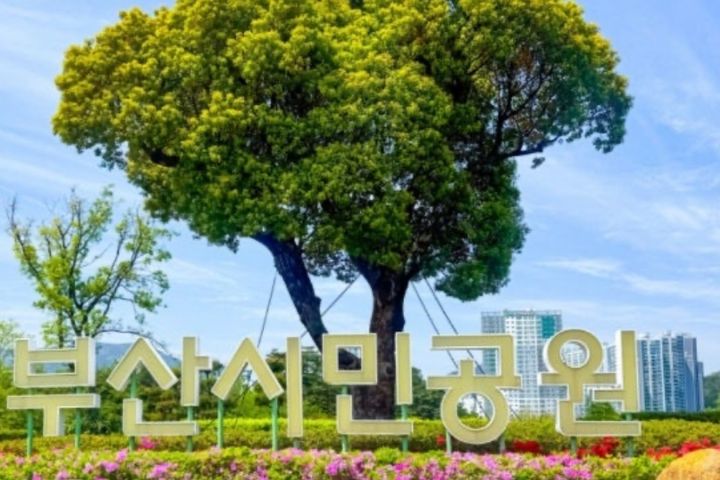 Seomyeon-Bujeon, Fully Furnished, Parking Ava 12th image