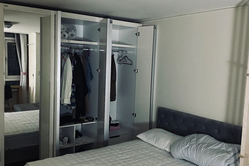 신사 한강 가로수강남 8번째 이미지