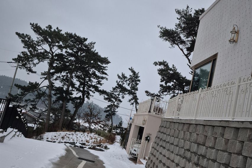 스칼렛 12번째 이미지