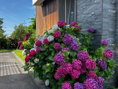 Private house within walking distance of Hyeo 2th image