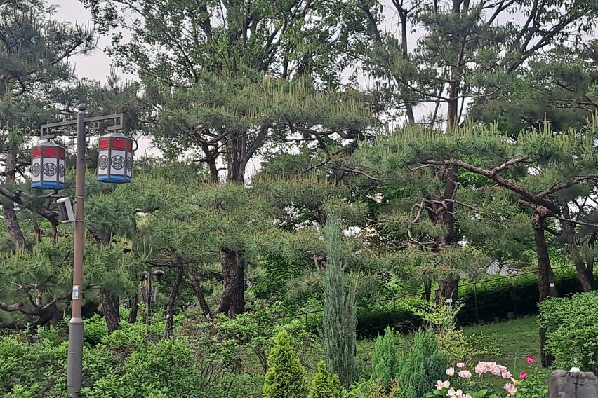 충무로역도보 2분