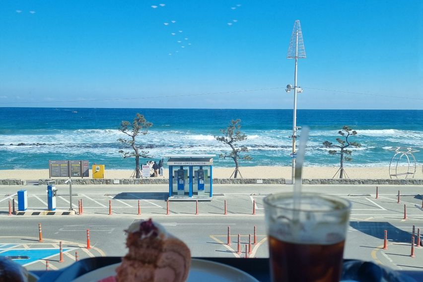 영은테스트장기할인