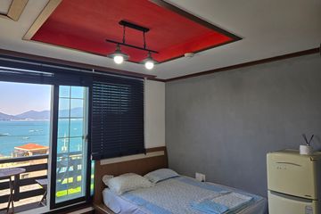 제비꽃