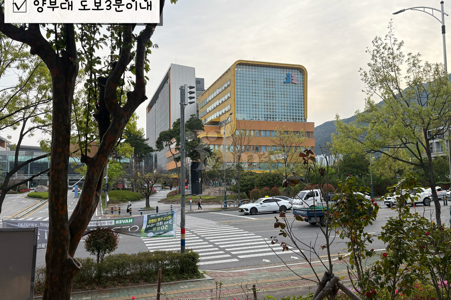 🥨New: Yangsan Pusan National University Hosp 15th image