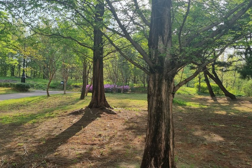 둔산동 힐링하우스 12번째 이미지