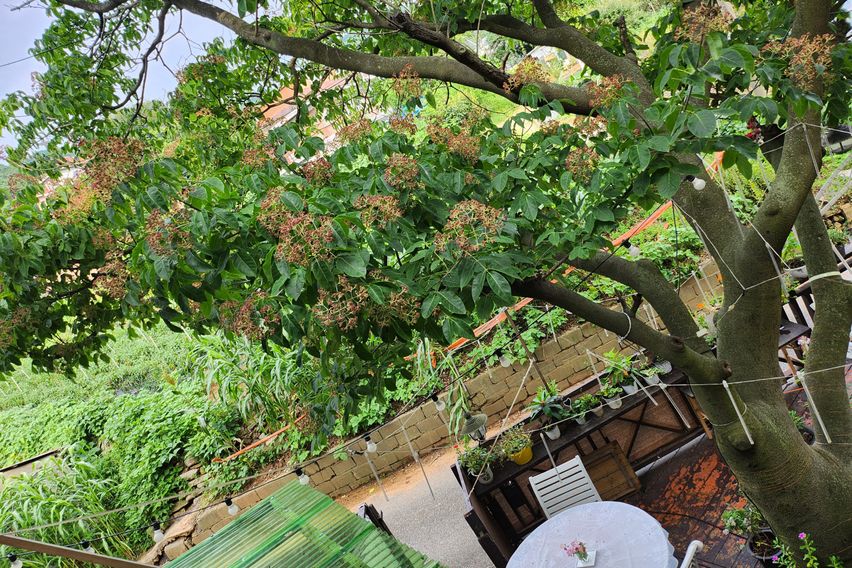 강화.  펜션. 안드로