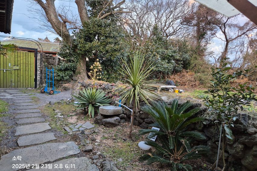 제주시골 마당있는 돌집