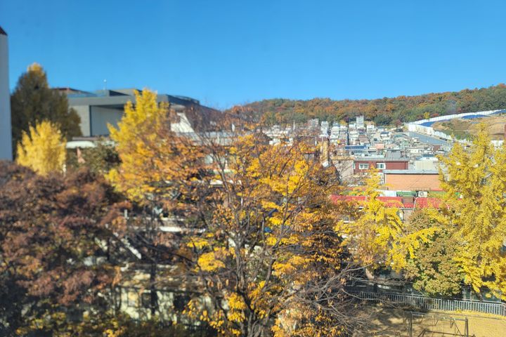 햇살가득 투룸  10번째 이미지