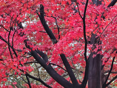Namsan Pine / 28 pyeong 16th image