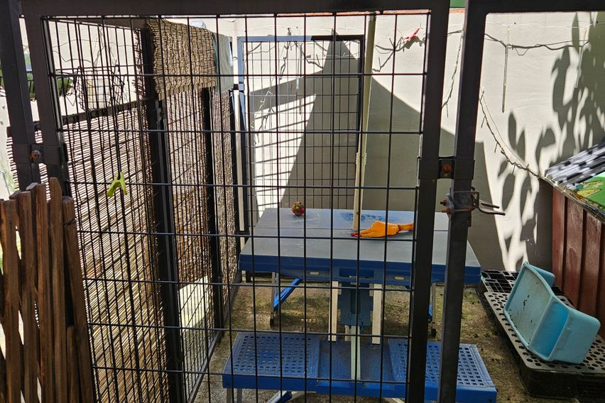 반려동물좋아요.