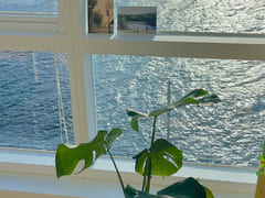 Panoramic view of the sea in Tongyeong 9th image