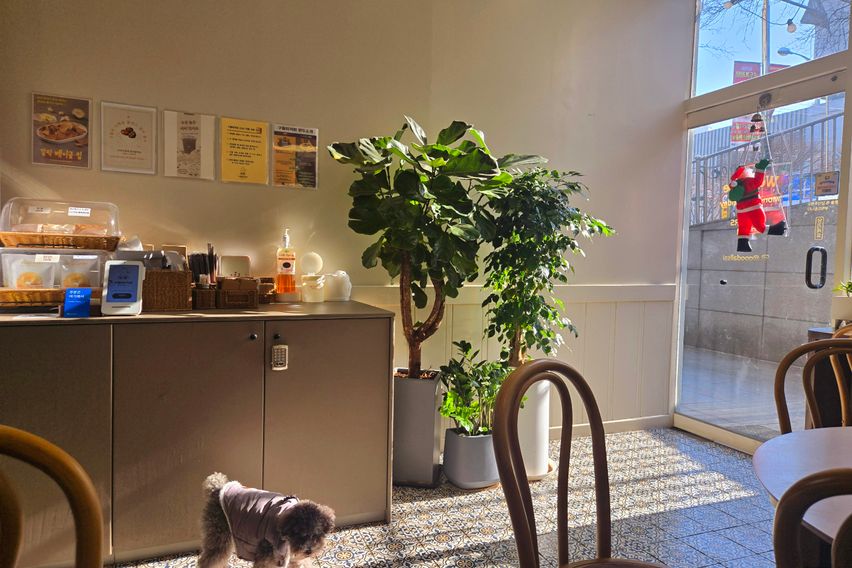 수지성복역 롯데몰 근처 13번째 이미지