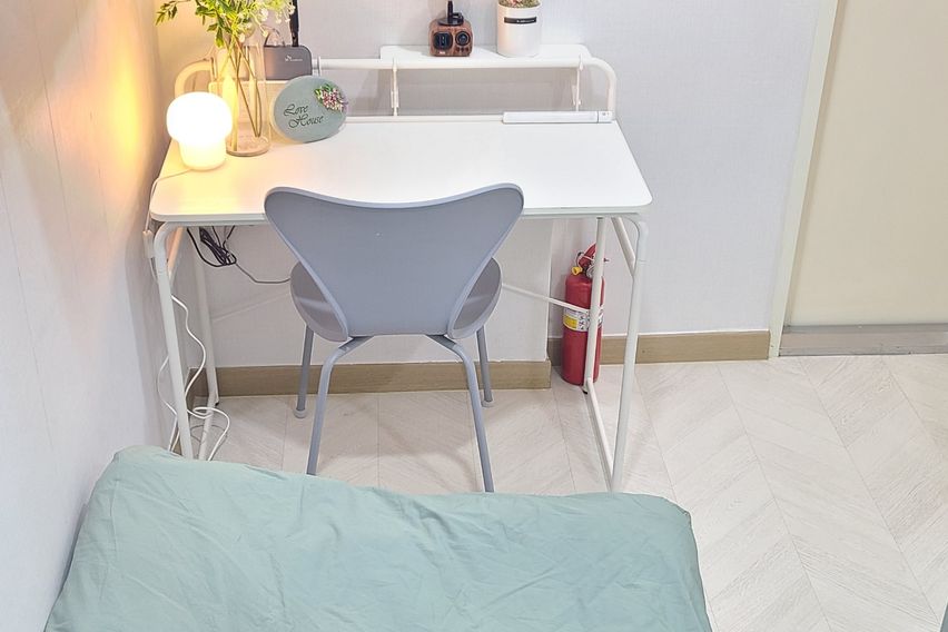 227스테이-스탠다드