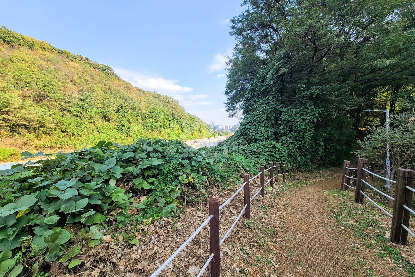 ④중앙대병원광명역풀옵션 17번째 이미지