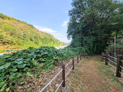 ④중앙대병원광명역풀옵션 17번째 이미지