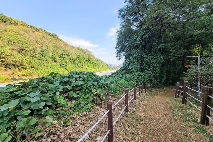 ④중앙대병원광명역풀옵션 17번째 이미지