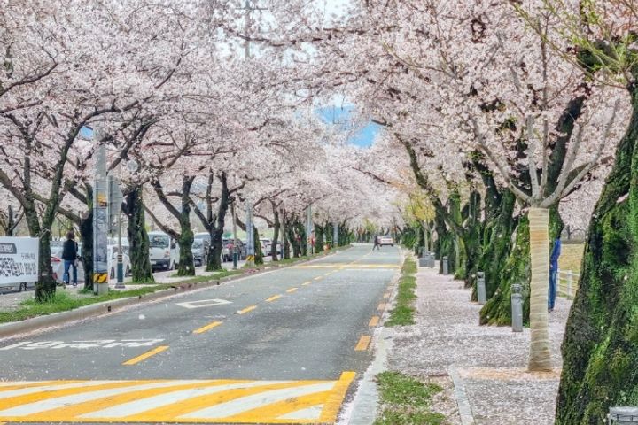 송해공원 인근 힐링공간 13번째 이미지